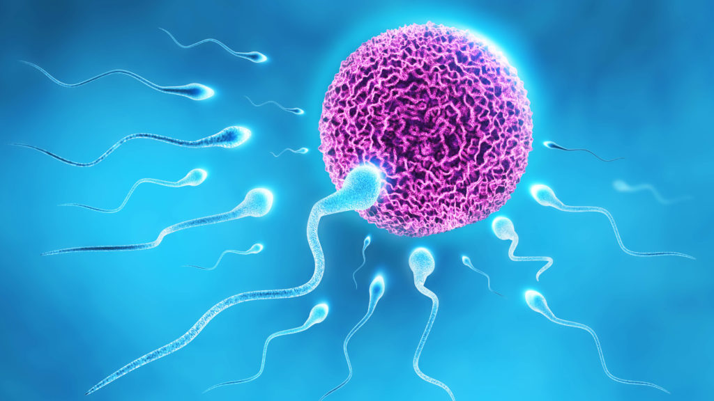 Jak mohou spermie ovlivnit hrozbu potratu a zdraví počatého dítěte